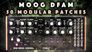 Moog DFAM Modular Grooves PatchesPatterns No Talk Demo [upl. by Nytsuj]