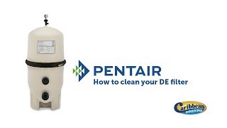 How to clean a Pentair FNS 36 DE filter [upl. by Isis169]