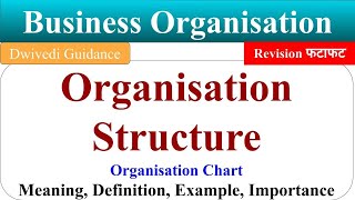 Organisation Structure organisation structure meaning Organizational Structure Organisation Chart [upl. by Roshan]