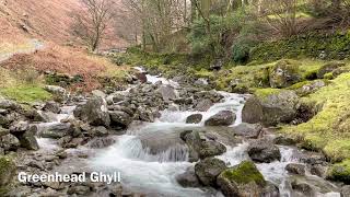 Greenhead Ghyll [upl. by Notnarb252]