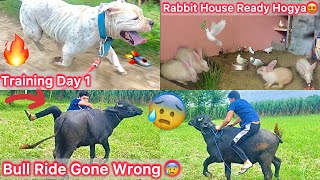 Finally Mack Ki Training Start Hogye🔥Bull Ride Gone Wrong😰Jaan Bach Gye Bs😨Rabbit House Ready Kiya🐇 [upl. by Atika]