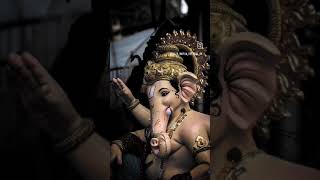 bappa ganpatibappamorya ganpati ganesh shorts viralvideo trending like subscribe [upl. by Evelinn125]