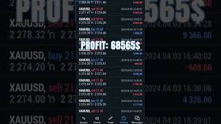 HFT EA Profit 68 565 propfirm trading forex forextrading hft hftrobot money cryptocurrency [upl. by Frymire]