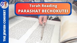 PARASHAT BECHOKUTEI  Weekly Torah Reading in Hebrew amp English Translation  TORAH STUDY [upl. by Fonville522]