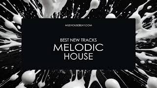 Melodic House Best New Tracks 20231123 [upl. by Sweeney]