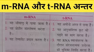 mRNA और tRNA के बीच अन्तर mRNA or tRNA me antarmRNA tRNA और rRNA के बीच अंतर [upl. by Rhyner]