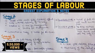 Stages of Labour  Labour  Easily explained  Hindi [upl. by Frasier]