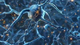 Inside Neurochemistry How the Brain Creates Reality [upl. by Far809]