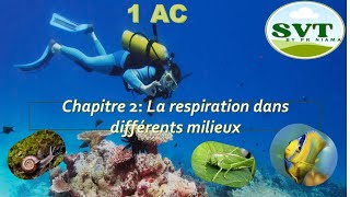 1AC La respiration dans différents milieux 😍🔥Partie 1 شرح بسيط😍 [upl. by Reyotal253]