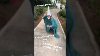 You got gnomed memes crawly gnomes gyatt [upl. by Ahk]