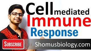 Cell mediated immunity  innate immune response [upl. by Maram79]