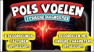 Fysische Diagnostiek  De Pols Beoordelen verpleegkundige polsvoelen klinischredeneren [upl. by Reivax]