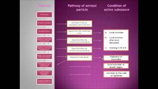 Study of Biopharmacy in Intrapulmonary route [upl. by Ellainad851]