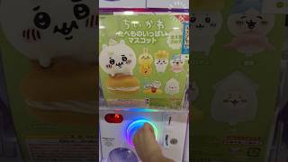 Chiikawa Food Mascot Capsule Toy Gashapon ちいかわ ハチワレ chiikawa usagi 開封動画 keychains gachapon [upl. by Refeinnej]