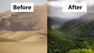 How China Turned the Desert into Green Forests [upl. by Ardiedak]