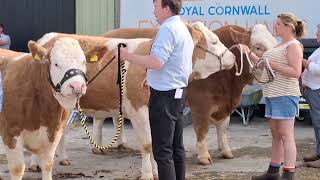 Royal Cornwall Show 2023 [upl. by Bonn]