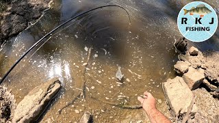 Spinning for 3 Different Species at the Elmore Weir [upl. by Keligot]