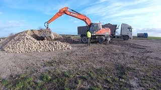 Chargement et tansport de betteraves Marne 2018 GOPROHD [upl. by Sheila]