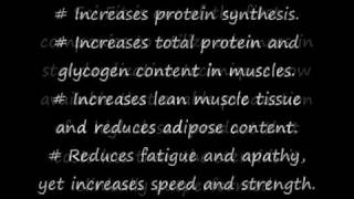 SciFit EcdySterone 300 [upl. by Jarv68]