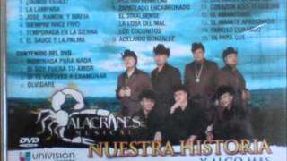 alacranes musical adelaido gonzalezwmv [upl. by Adeuga]