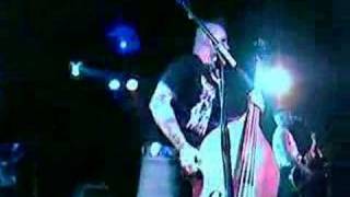 Tiger Army  Never Die Live [upl. by Dredi]