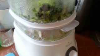 Rival Food Steamer Review [upl. by Anastase438]