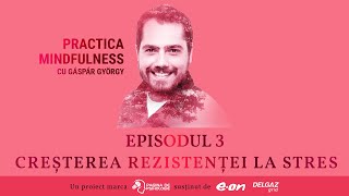 PRACTICA MINDFULNESS cu Gáspár György ep 3  Creșterea rezistenței la stres [upl. by Rekyr]