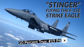 Flying the F15E Strike Eagle  quotStingerquot Part 4 [upl. by Vashtee]