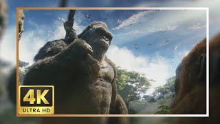 Kong 2024 Scene Pack  Godzilla X Kong The New Empire 4K Clips [upl. by Aros118]