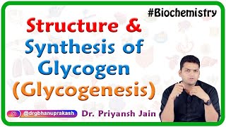 Structure of Glycogen and Glycogen synthesis Glycogenesis  Medical biochemistry [upl. by Stesha]