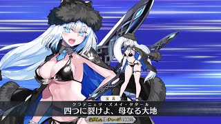 FGOJP  Dobrynya Nikitich Summer 1st Ascension All NP Voice lines [upl. by Sedgewick]