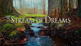 Stream of Dreams  TRAILER [upl. by Filomena]