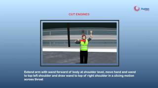 Aurion Learning  Headset And Marshalling Training Program [upl. by Nautna324]