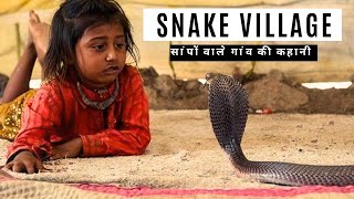 सांपो वाला गांव जहा लोग सांपो के साथ रहते हैं  Snake village  snakevillage [upl. by Garaway569]