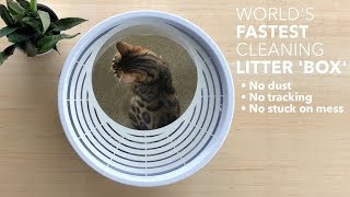 Best Cat Litter Box  2019 [upl. by Aznola]