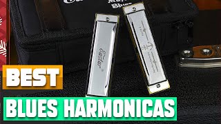 Blues Harmonica  You Should Try at least Once [upl. by Oicinoid]