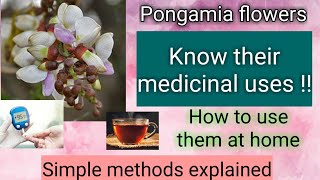 Pongamia flower medicinal uses  Karanja  How to use Pongamia pinnata for Diabetes and Piles [upl. by Gilly]