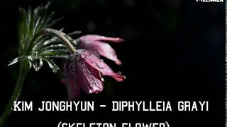 Kim Jonghyun  Diphylleia Grayi Skeleton Flower LegendadoTradução PTBR [upl. by Inatirb]