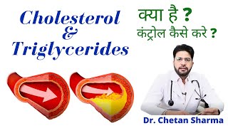 What is Cholesterol amp Triglyceride In Hindi  Sources and Control [upl. by Ainerol]