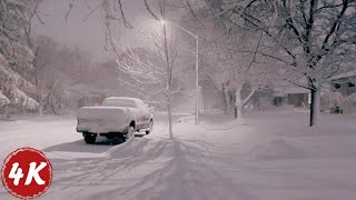 Night Walk in Extreme Winter SNOW STORM  Southern Ontario Canada Jan 2024  4K [upl. by Hayyikaz401]