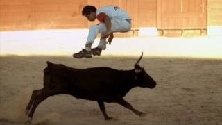 Bull Jumping  Inside the Human Body Hostile World  BBC One [upl. by Pfosi]