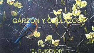 Garzón y Collazos  El ruiseñor  Colección Lujomarwmv [upl. by Anoy115]