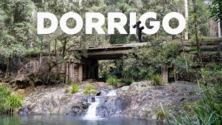 Jom Chasing Waterfall dekat Dorrigo National Park  EP11 [upl. by Hwu]