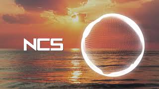 LAADS  Love You Anyway  Garage  NCS  No Copyright Sounds  Free Music [upl. by Imerej]