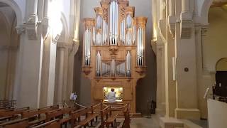 Kerckhoven Fantasia in d minor for organ [upl. by Menedez]