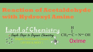 Reaction of Acetaldehyde with hydroxyl amine Acetaldoxime N  ethylidene hydroxylamine Class12 [upl. by Sugden91]