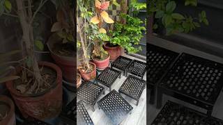 Garden Pot Stand plantstand chin tapak dam dam [upl. by Peterus]