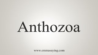 How To Say Anthozoa [upl. by Ahsurej]