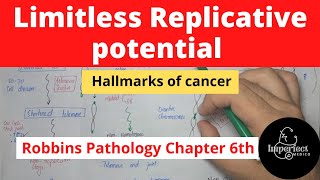 Limitless Replicative Potential Immortality Hallmark of Cancer pathology neoplasia mbbslectures [upl. by Sanjay]