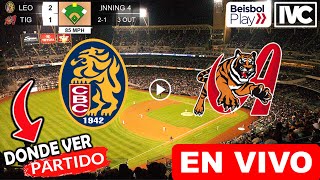 Leones del Caracas vs Tigres de Aragua EN VIVO donde ver y a que hora juega Lvbp Round Robin 2024 [upl. by Janean]